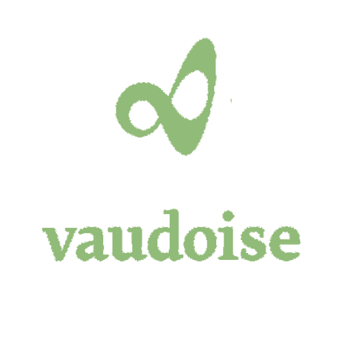logo-vaudoise
